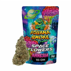 Flor 10-OH Amnesia Space Flowers