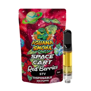 Bolsa-Cart-Red-Berries-2025-STV-con-cartucho 1ml